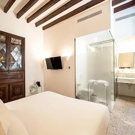 Ca'n Puig De Aparthotel Soller