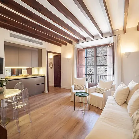 Aparthotel Ca'n Puig De